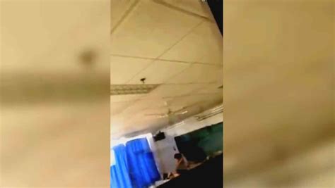 Videos porno de Estudantes .